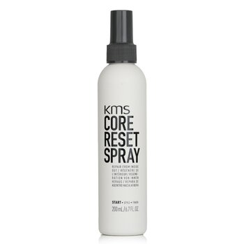 Spray per il ripristino del nucleo (riparazione dall'interno)