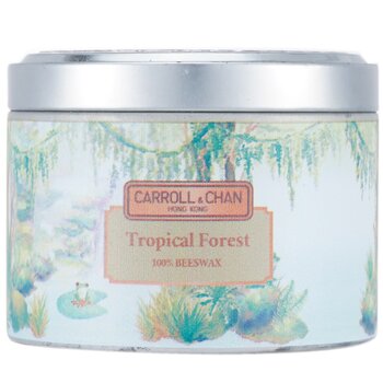 The Candle Company (Carroll & Chan) Candela di latta 100% cera dapi - Foresta tropicale