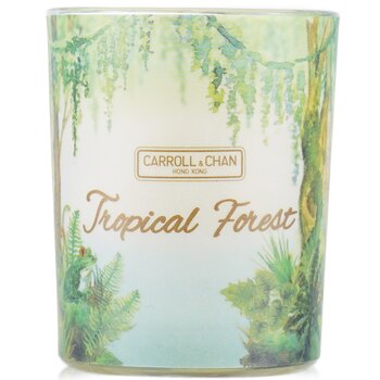 Candela votiva 100% cera d'api - Foresta tropicale