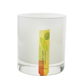 Thymes Candela Aromatica - Foglia di Olivo