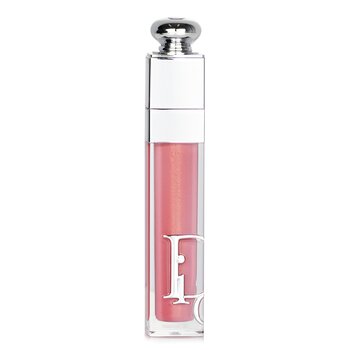 Christian Dior Addict Lip Maximizer Gloss - # 012 Palissandro