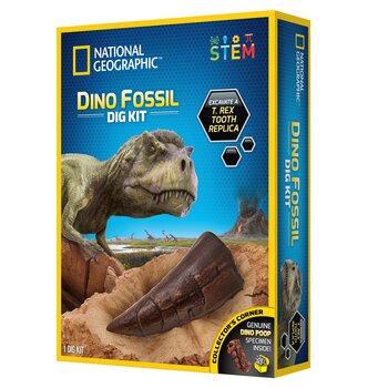 National Geographic Kit geografico nazionale per lo scavo dei dinosauri